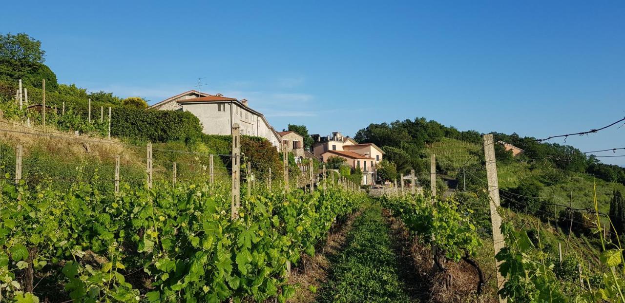 Casale In Vigna, Cinqueterrecoast Villa Casarza Ligure Exterior photo